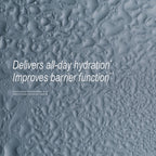 delivers all day hydration and improves barrier function